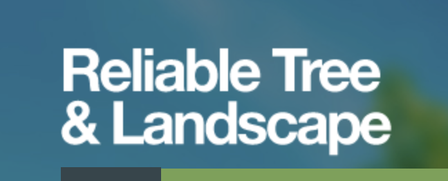 Reliable Tree & Landscape